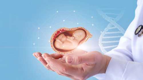 广州宜美国际助孕中心|渭南三代试管放一个胚胎移植还是两个