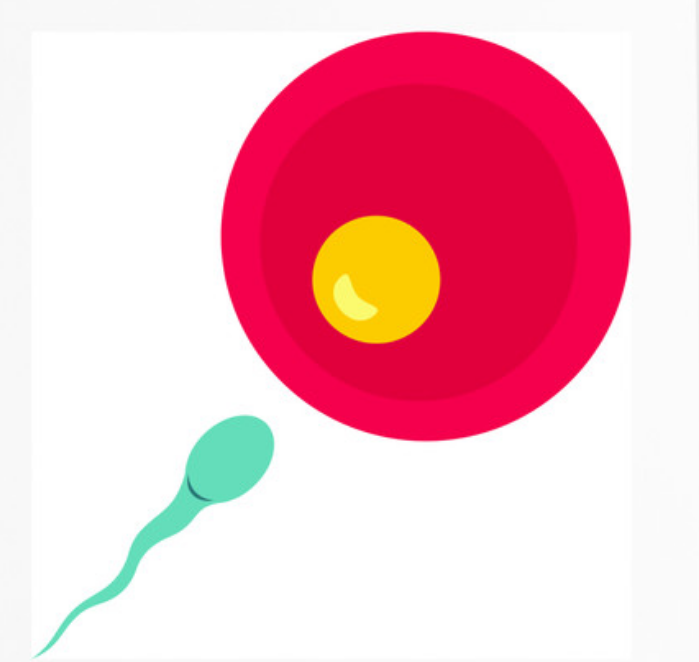 孕宝国际试管婴儿公司_孕管儿管|兰州助孕公司_正规试管公司