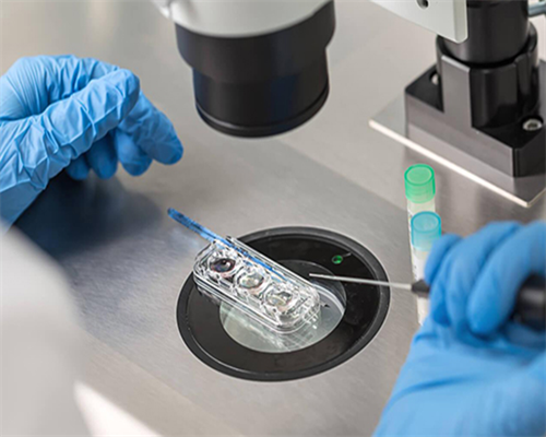 大连助孕机构-辽宁哪有助孕机构