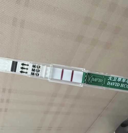 试管代妈公司哪家最靠谱&那里有代孕妹,高龄女性要怎样备孕才更容易成功怀上