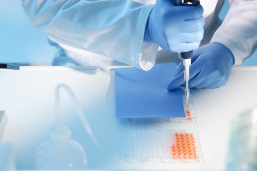 50岁试管成功案例云南&哪里供卵合法,备孕吃的碱性食物有哪些啊？二胎我们想