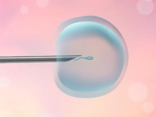 沈阳a69代孕公司,海外试管婴儿让同志拥有属于自己的孩子_多囊卵巢但是amh不高