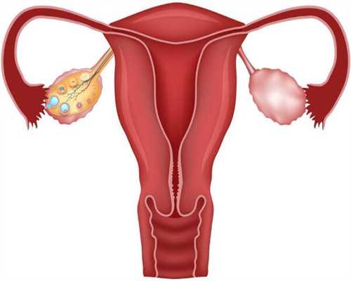 试管婴儿移植冻胎流程