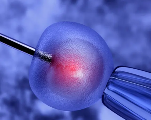 沈阳 | 同城姐妹快来接 供卵代怀生子中心医院