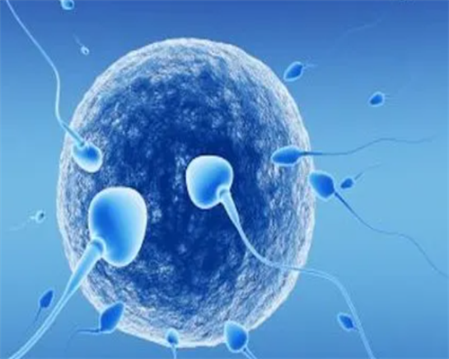 精因宝贝和aa69哪个好[湘雅供卵试管],西安供卵医院需要等多久（私立医院供卵