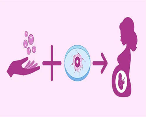 沈阳代生价格明细,沈阳盛京医院做供卵试管多少钱？附试管费用明细_福州人民