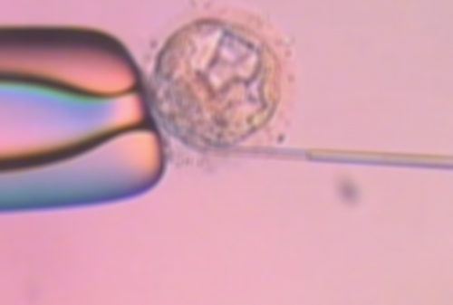 aa69助孕网靠谱吗[供卵试管成功率],台州供卵试管医院排名公开，成功率最高的