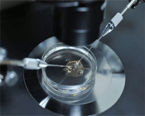 沈阳供卵在哪里,沈阳第三代试管婴儿医院排名排行榜咋样的