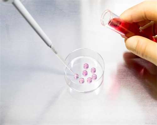 沈阳代怀技术官网,北京哪做试管婴儿好_供卵是一次多少钱还是一个_沈阳204生殖