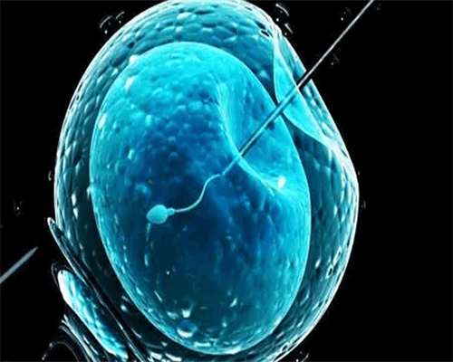 供卵需要匹配血型吗&简述性别控制的方法,科兴新冠疫苗第二针隔14天打效果最