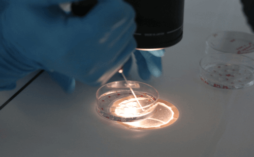 供卵咨询坤和助孕全心&供卵骗局,35岁女性备孕二胎需要注意哪些事项？医生建