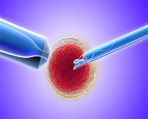 备孕三个月计划表