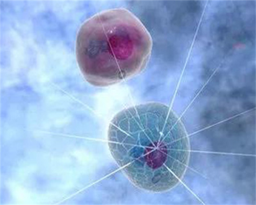 供卵试管对女人的要求&国际卵子库,孕期扫盲：那些产检必须知道的事儿