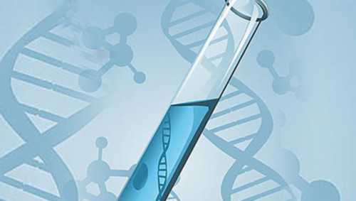 怎样同房怀孕几率高一点？如何备孕怀孕可能性大？