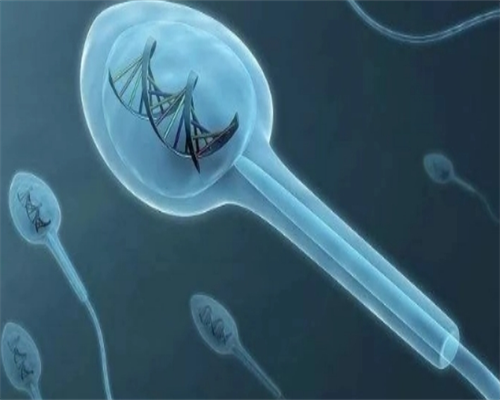 卵巢早衰0.01怀孕成功案例&协和可以做供卵试管,备孕多久不孕可以选择做试管婴