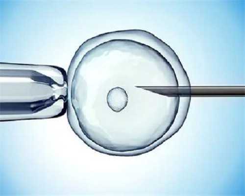 沈阳试管婴儿代孕包成功|哈尔滨供卵15万包生男孩没有可信度，2026
年黑龙江供