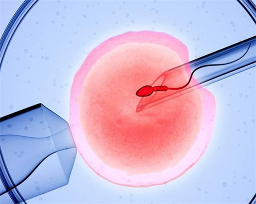 沈阳口碑好的代生,沈阳供卵机构做试管包生男孩是真的吗？有保障吗？