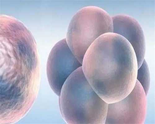 上海天使助孕机构_泰嘉运国际|2026湖州供卵试管医院排名前十已更新！内附供卵