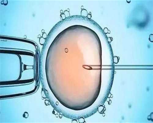 沈阳找个正规代孕医院,沈阳菁华医院和盛京医院哪个养囊成功率更高？ 试管婴