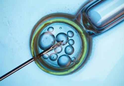 卵泡很小就排卵正不正常,能不能怀孕?