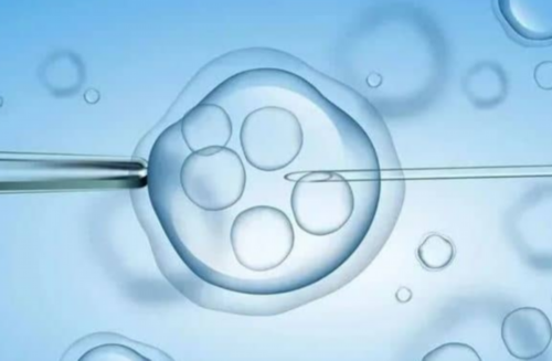 28-30岁试管成功率&国内合法供卵医院,孕期练习瑜伽对于改善睡眠有用吗？