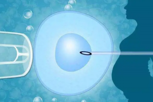 55岁高龄试管必备条件&中国供卵公司,备孕指南|带你了解HCG：对怀孕的判断（五