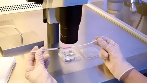 沈阳哪里找代生,香港做试管可以挑男女这是真的吗？-沈阳菁华医院和沈阳盛京