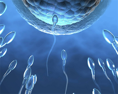 泰东方国际医疗_上海生殖医院排名榜|佛山供卵试管生一对龙凤胎价格多少？费