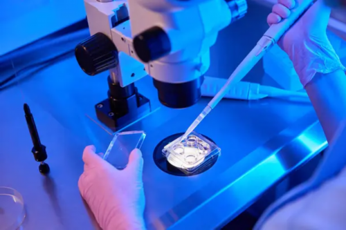 沈阳专业代孕产子网,沈阳试管婴儿最好医院排名？附成功率及医院名单？