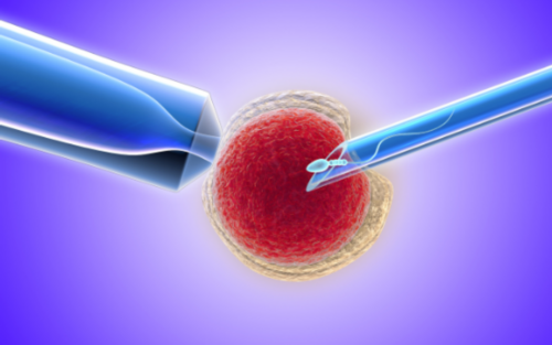 四川3代试管验孕成功&加喜助孕,备孕半年一直没怀上怎么办？
