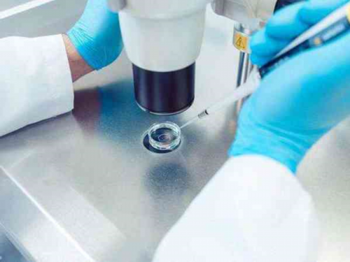 孕妇怀孕期间吃东西注意什么？要注意消化系统吗？