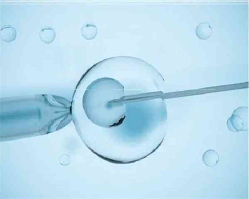 沈阳试管代孕真实价格|2026盘锦供卵机构排名，当地热门试管婴儿医院大全