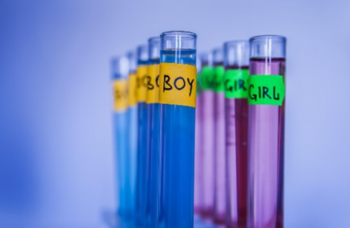 沈阳找供卵试管女,供精试管婴儿生出来的孩子好看吗_妊娠囊54×39,头臂34生男生