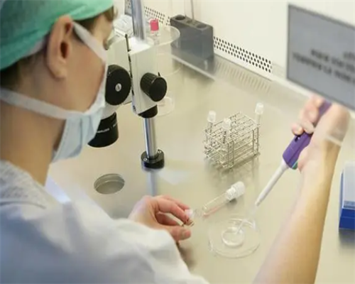 绝经多久可以做供卵&试管选性别需要多久,2026年备孕最佳月份，想要兔宝就从这