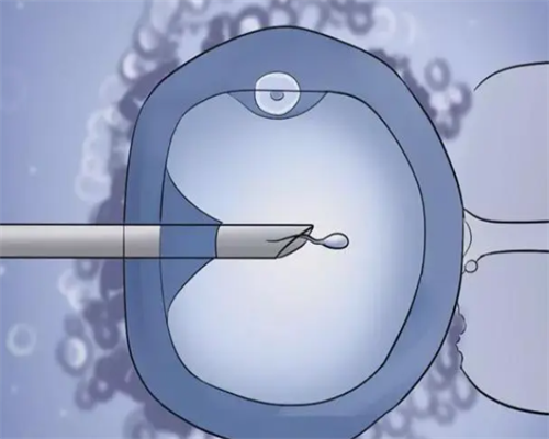 沈阳哪可以代生,赤峰市做试管婴儿的医院,沈阳做试管婴儿哪家医