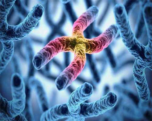 沈阳代孕专业的公司,2026北京十大试管婴儿医院排名榜，附供卵费用明细!_上海