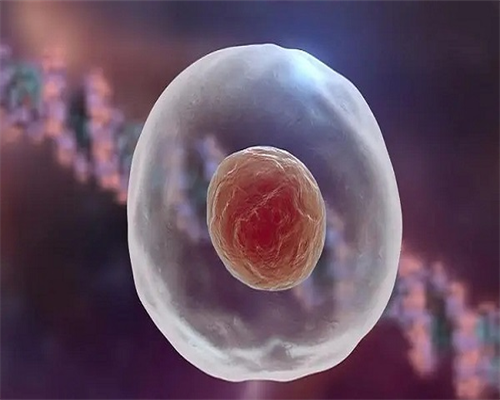 重度弱精试管成功率&代孕那里做成功率高,女人不孕不育 女性不孕症的预防措施