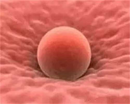 沈阳需要找代孕多少钱|宝鸡三代试管保证一次成功?试管成功非常容易