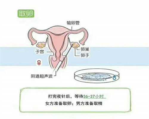 双卵子生殖[aa69助孕中心找优贝贝助孕],【广西三代供卵试管男科医院名单】附