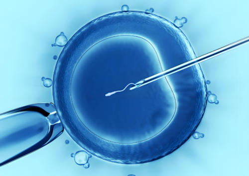 广州传承生殖医学曾琳[代孕女人那里找],2026佛山供卵试管婴儿大概多少费用？