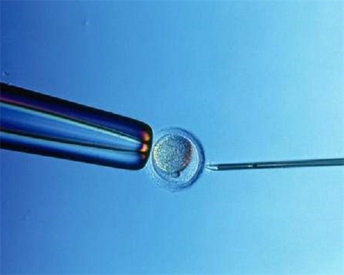 沈阳供卵咨询问题,【沈阳供卵试管哪里做】多囊促排怀双胞胎，满满正能量（