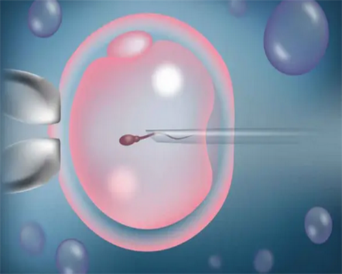 50岁的女人自供卵试管成功&哪家医院做供卵试管,抚州做助孕试管婴儿选这些地