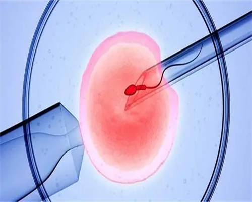 沈阳供卵自怀三胎,做试管婴儿对女人有没有什么后遗症_沈阳私立供卵_试管婴儿