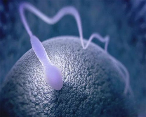 沈阳专业供卵电话,沈阳盛京医院试管成功率高吗？技术怎么样？