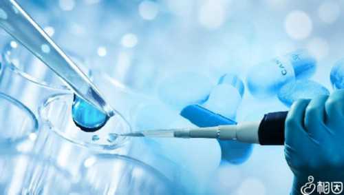 海外助孕_武汉aa69助孕|烟台毓璜顶医院试管移植成功率烟台毓璜顶医院试管婴儿