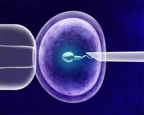 国内助孕机构_爱维爱夫试管婴儿|晋城最好的试管婴儿医院是哪里晋城哪里的妇