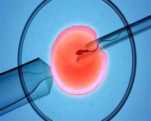 沈阳试管供卵公司,沈阳试管婴儿成功率高的医院，医院排名-供卵中介哪家好