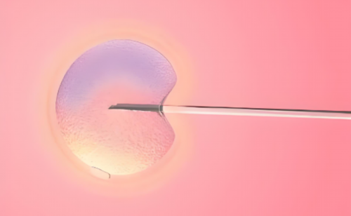 46岁做试管成功率高吗&供卵好怀孕吗,备孕，喝这一碗汤！暖宫养卵调经