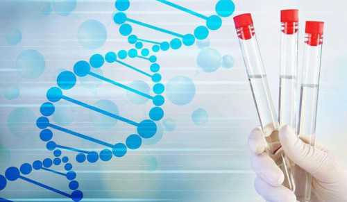 沈阳代生孩子方案,2026
年沈阳菁华医院三代试管套餐大概是多少钱？