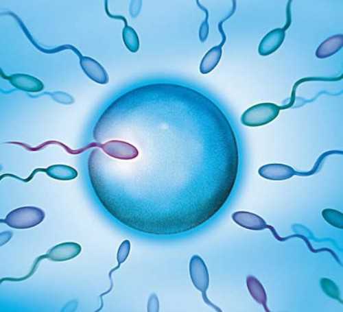 沈阳最具权威代孕公司,沈阳妇婴医院做试管婴儿怎么样？试管多少钱？